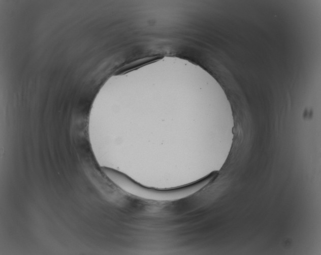 X0000115690096200912241511