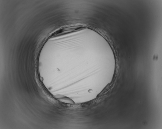X0000115690097200912241510