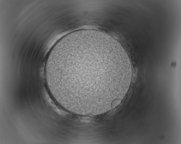 X0000115690098200912241510