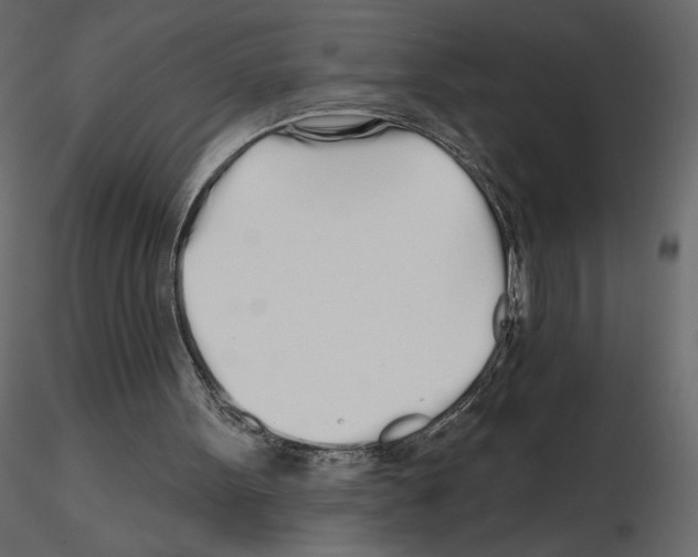 X0000115690099200912241510