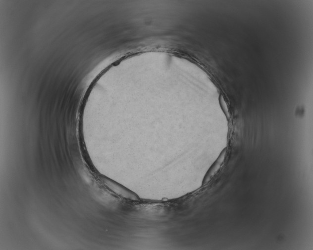 X0000115690100200912241510