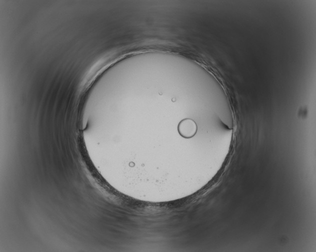 X0000115690101200912241510