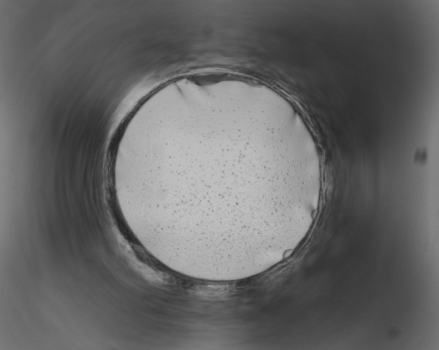 X0000115690102200912241510