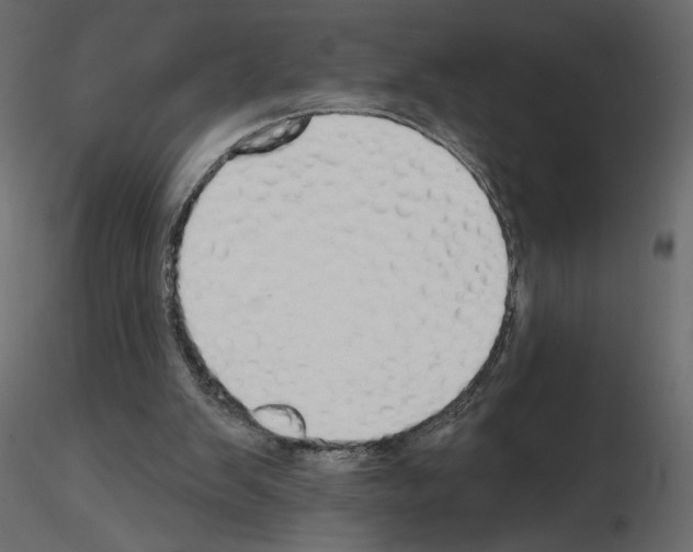 X0000115690103200912241510