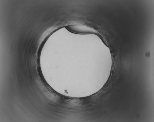 X0000115690104200912241510