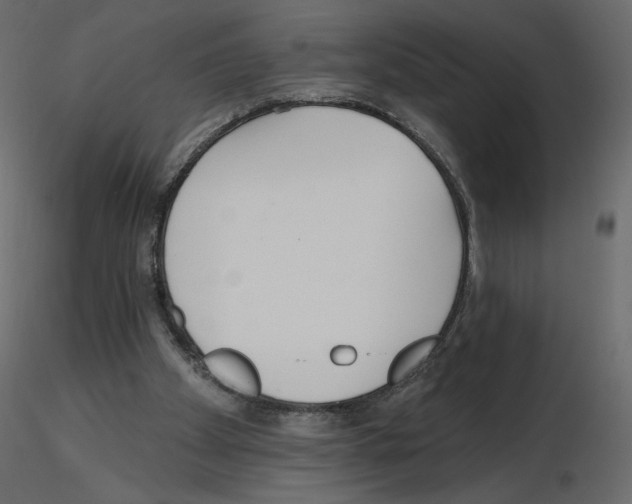X0000115690105200912241510