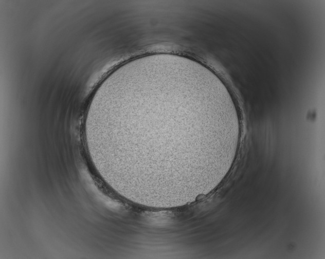 X0000115690106200912241510