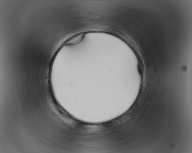 X0000115690107200912241510