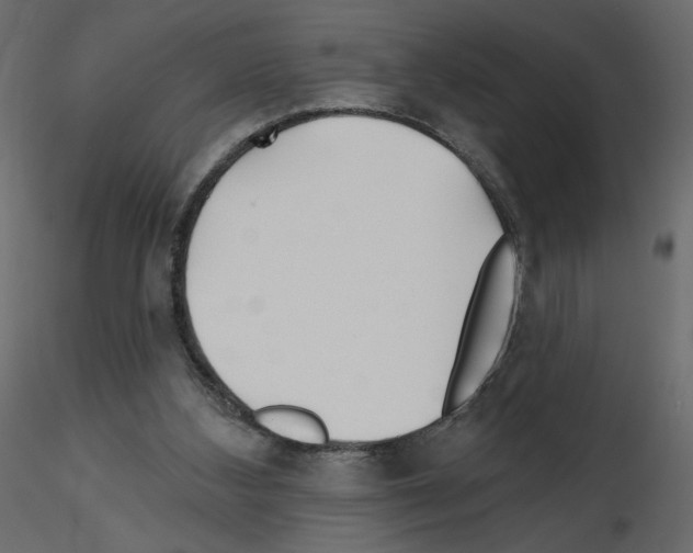 X0000115690108200912241510
