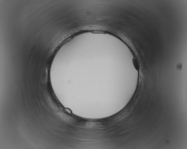 X0000115690109200912241510