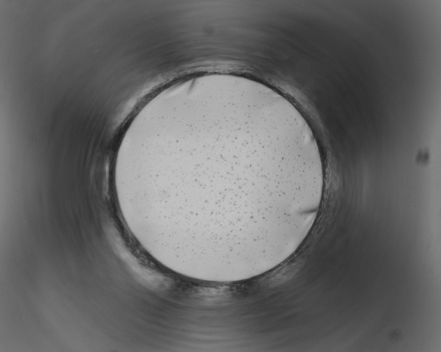 X0000115690110200912241510