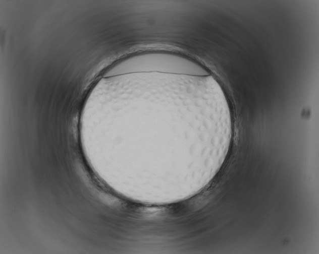 X0000115690111200912241510