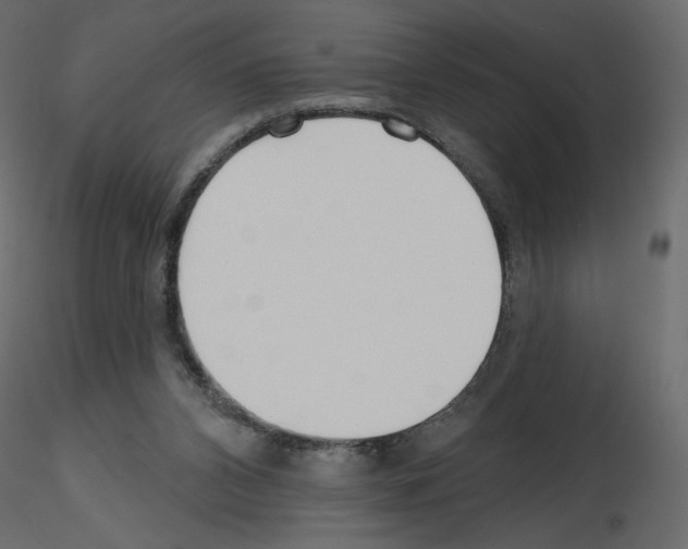 X0000115690112200912241510