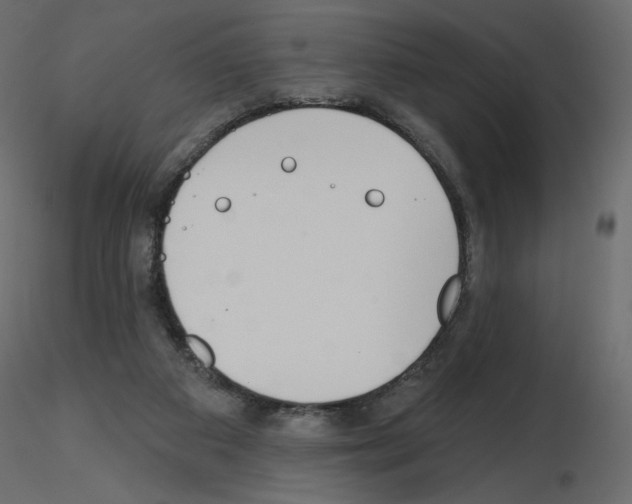 X0000115690113200912241510