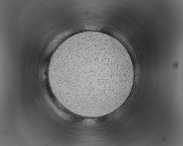 X0000115690114200912241510
