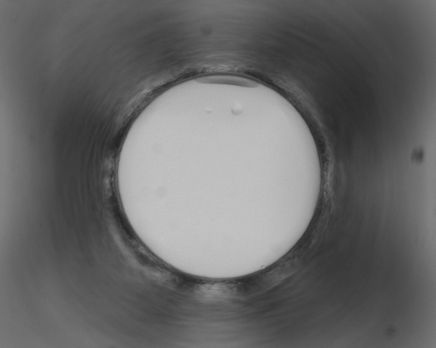 X0000115690115200912241510