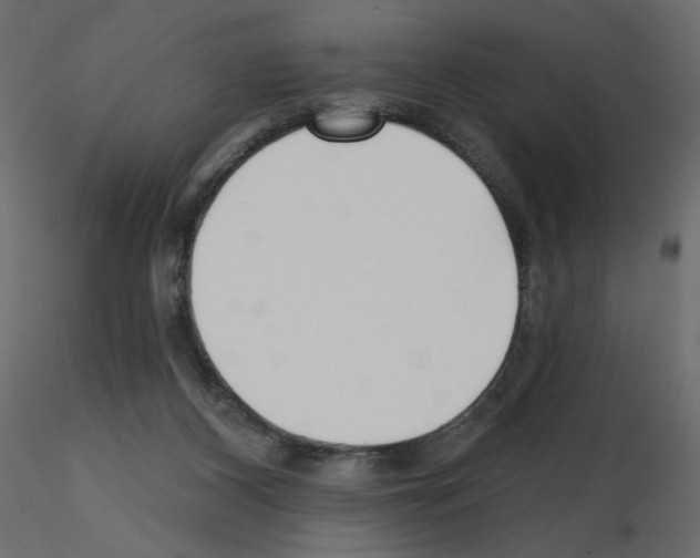 X0000115690116200912241510