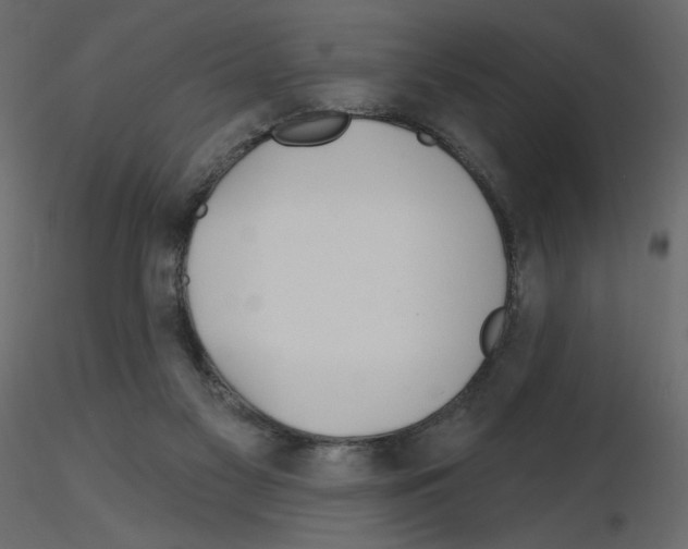 X0000115690117200912241510
