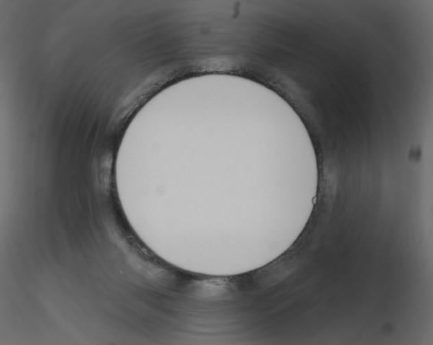 X0000115690118200912241510