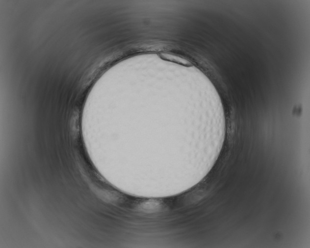 X0000115690119200912241510