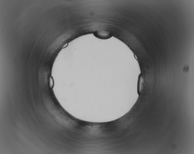 X0000115690120200912241510