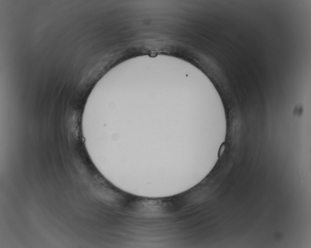 X0000115690121200912241510
