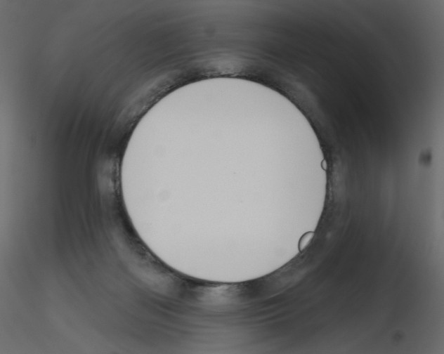 X0000115690122200912241510