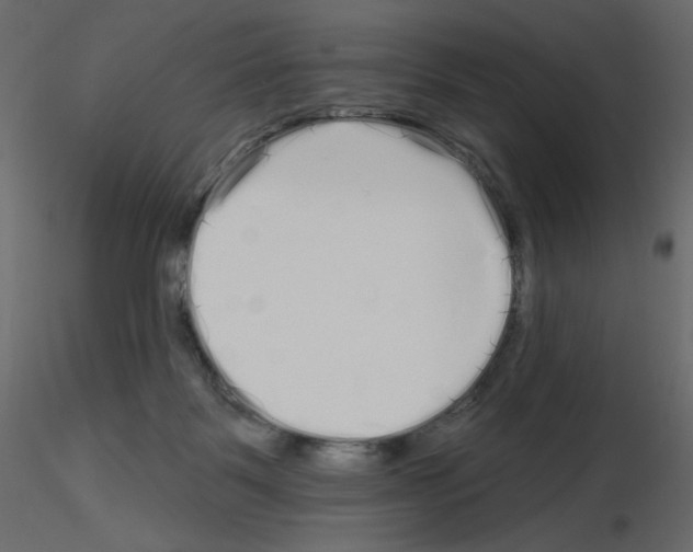 X0000115690123200912241510