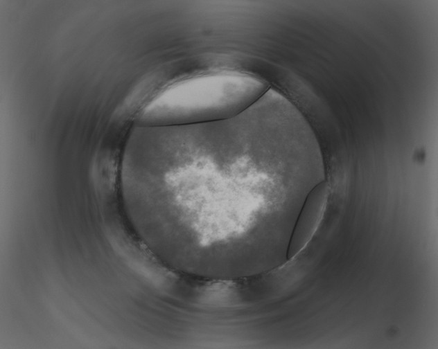 X0000115690124200912241510