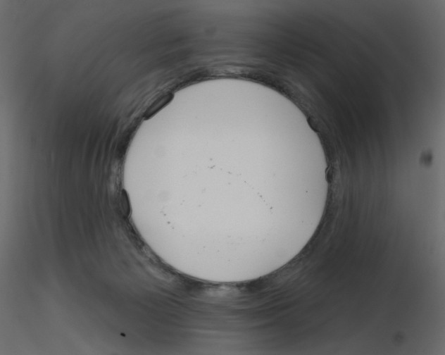 X0000115690125200912241510