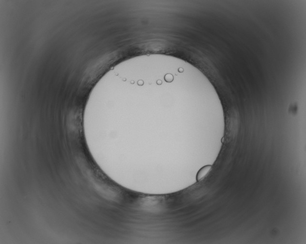 X0000115690126200912241510