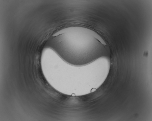 X0000115690127200912241510