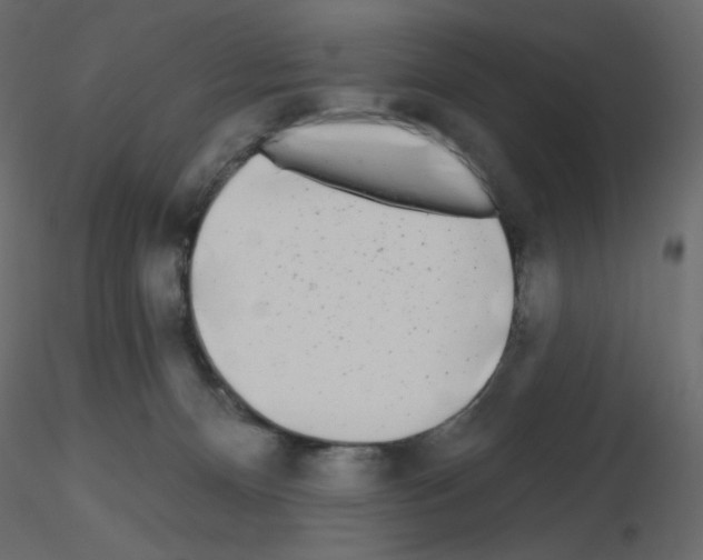 X0000115690128200912241510
