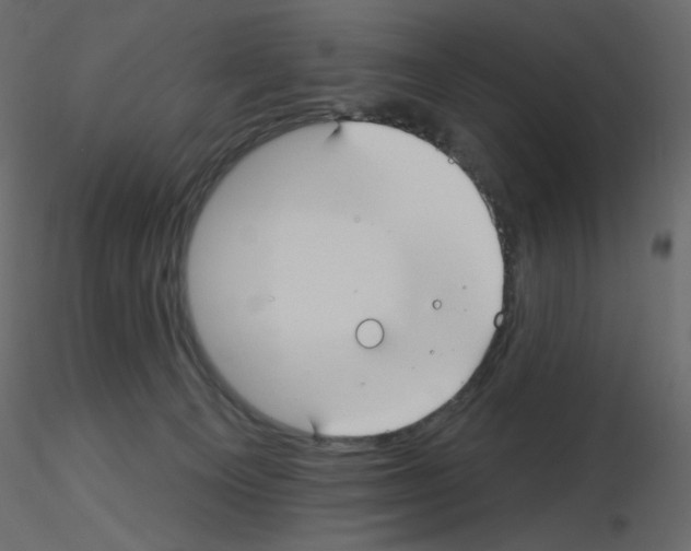 X0000115690129200912241510