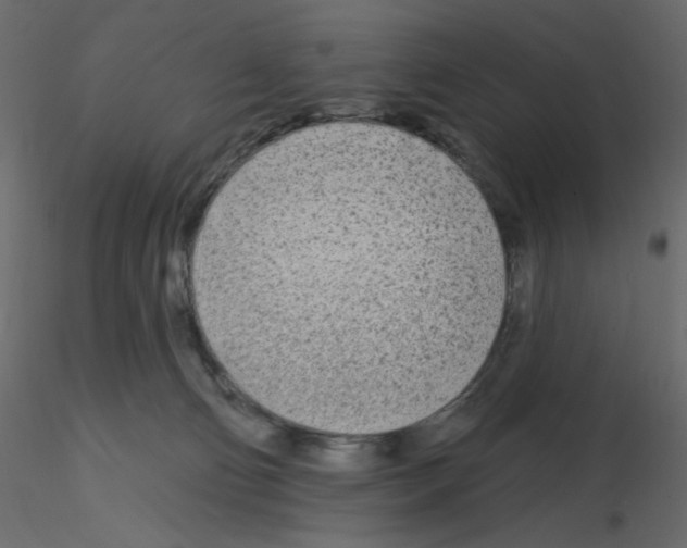 X0000115690130200912241510