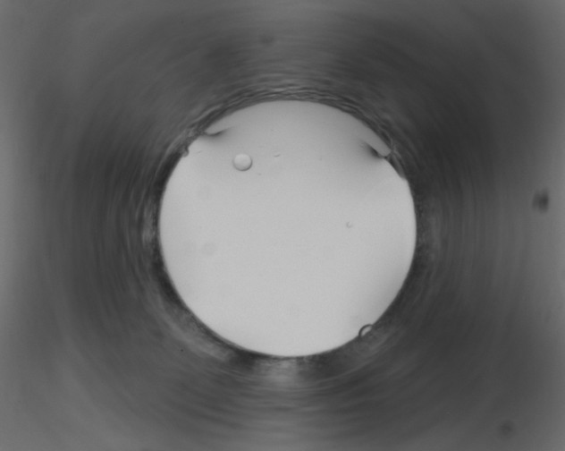 X0000115690131200912241510