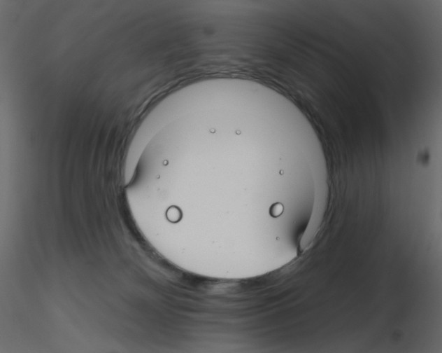 X0000115690132200912241510