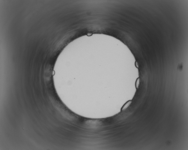 X0000115690133200912241510