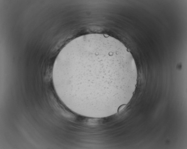 X0000115690134200912241510