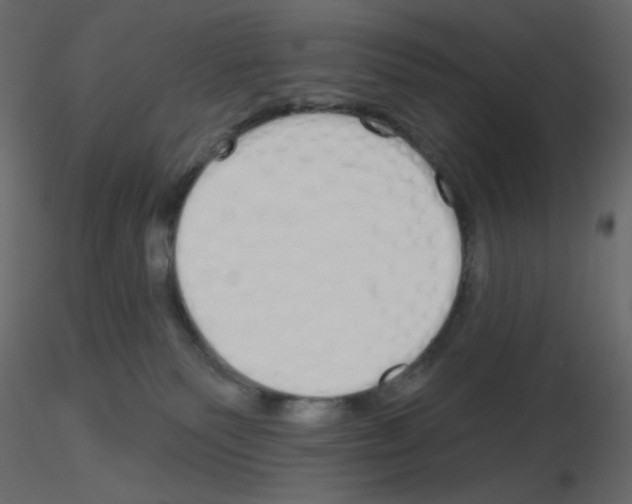 X0000115690135200912241509