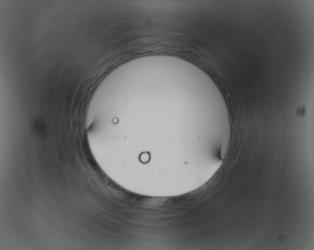 X0000115690136200912241509