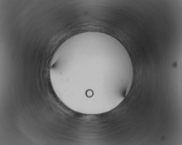 X0000115690137200912241509