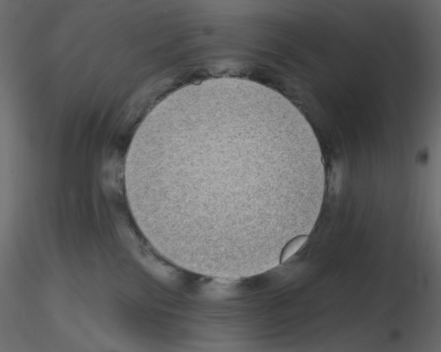 X0000115690138200912241509
