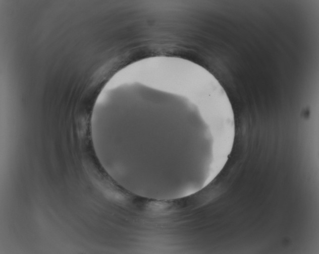 X0000115690139200912241509