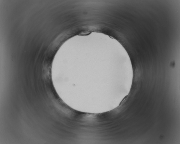 X0000115690140200912241509