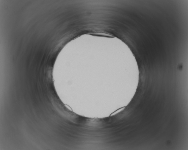 X0000115690141200912241509