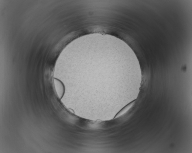 X0000115690142200912241509
