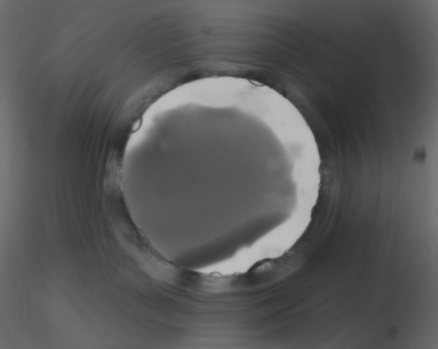 X0000115690143200912241509