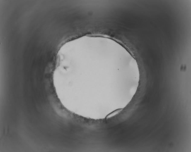 X0000115690144200912241509