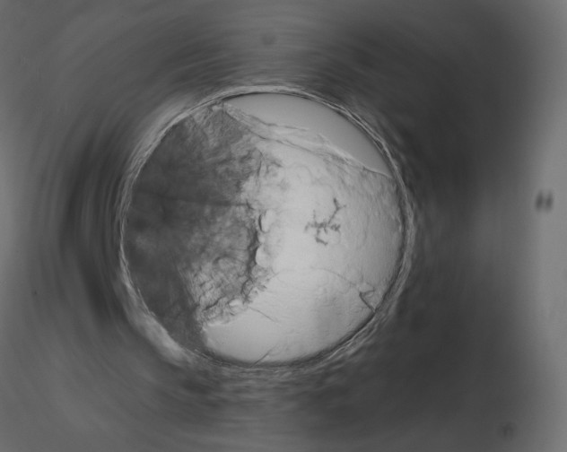 X0000115690145200912241509